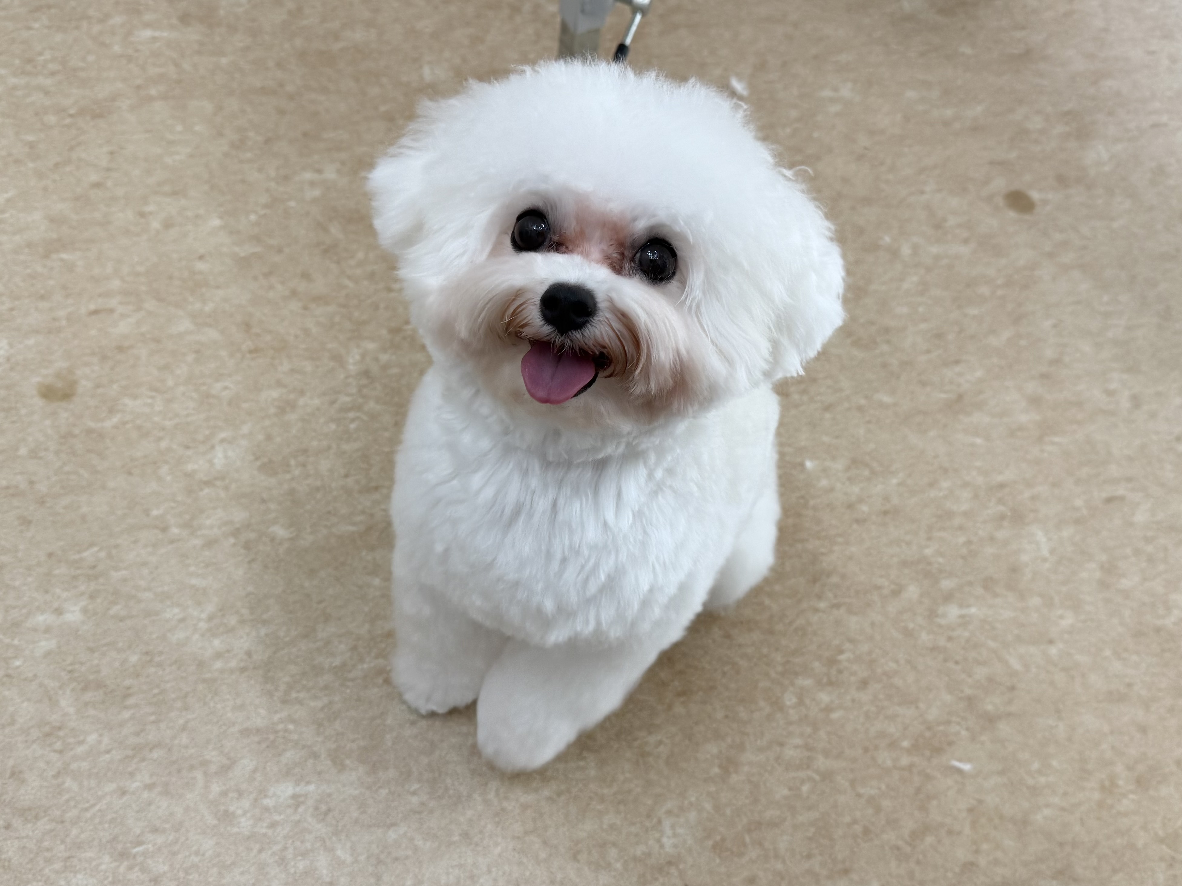 image3 (33)